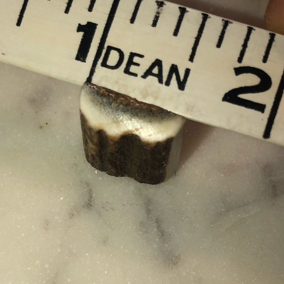 VTG Real Antler Cufflinks Silver Tone Costume Rounded Square Shape .5” x .6” - Picture 4 of 4